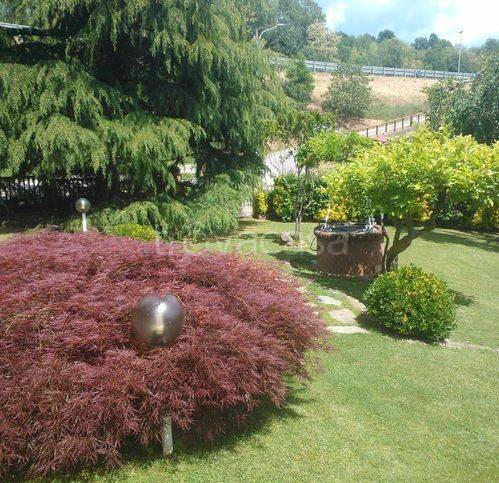 casa indipendente in vendita a Cosseria