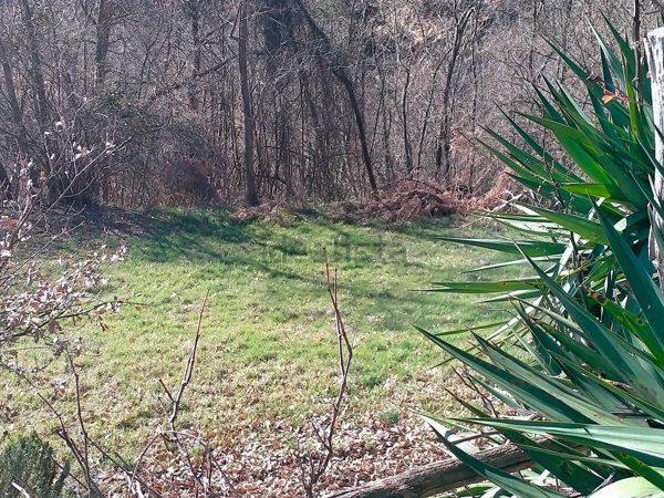 appartamento in vendita a Cosseria