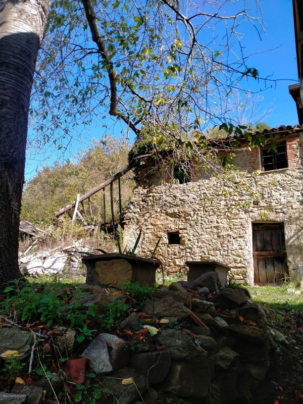 esavano in vendita a Cosseria