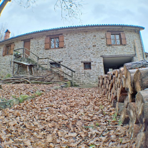 pentavano in vendita a Cosseria