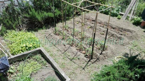 casa indipendente in vendita a Dego