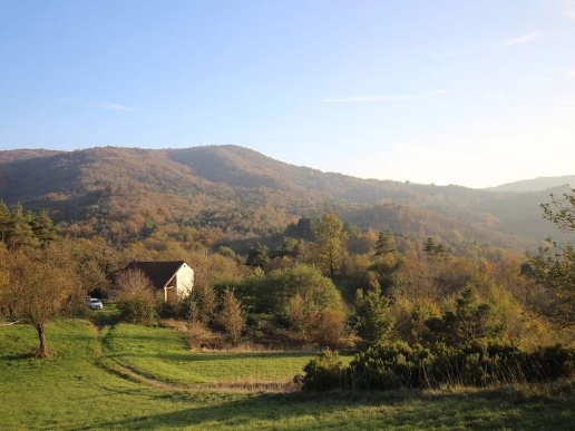 appartamento in vendita a Dego