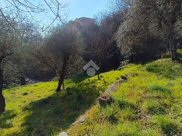 terreno agricolo in vendita a Finale Ligure