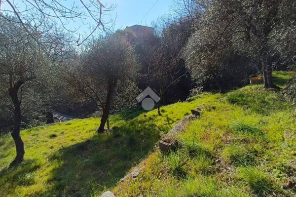 terreno agricolo in vendita a Finale Ligure