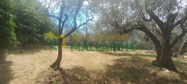 ufficio in vendita a Finale Ligure in zona Gorra