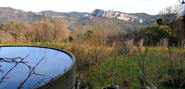 terreno agricolo in vendita a Finale Ligure