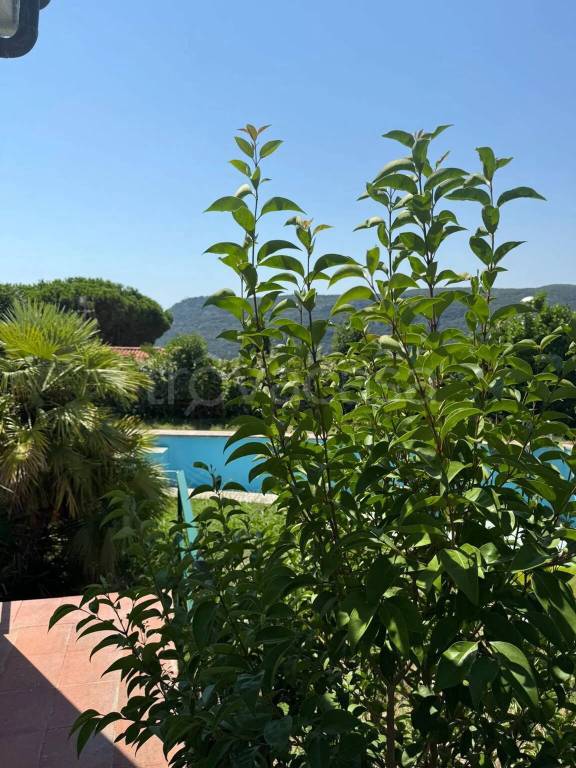 casa indipendente in vendita a Finale Ligure