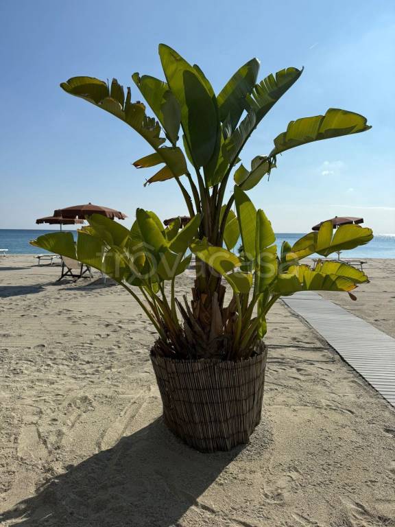 casa indipendente in vendita a Finale Ligure