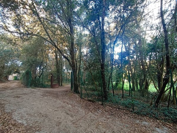 casa indipendente in vendita a Finale Ligure