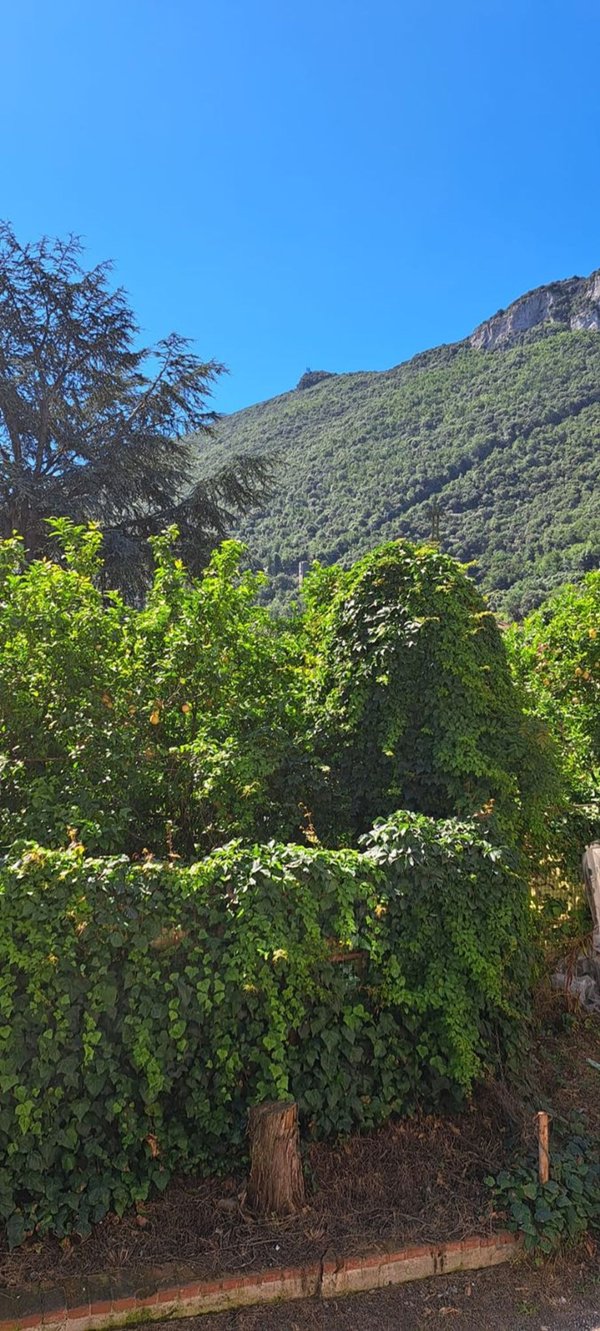 appartamento in vendita a Finale Ligure