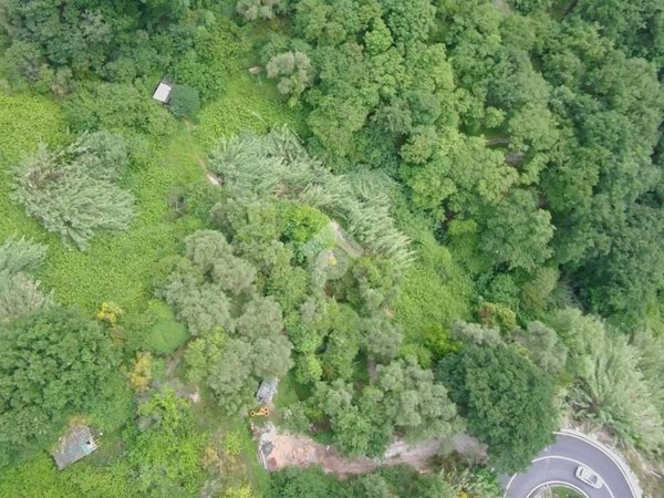 terreno agricolo in vendita a Finale Ligure