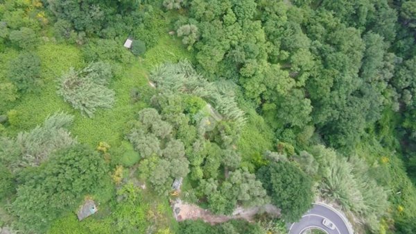 terreno agricolo in vendita a Finale Ligure