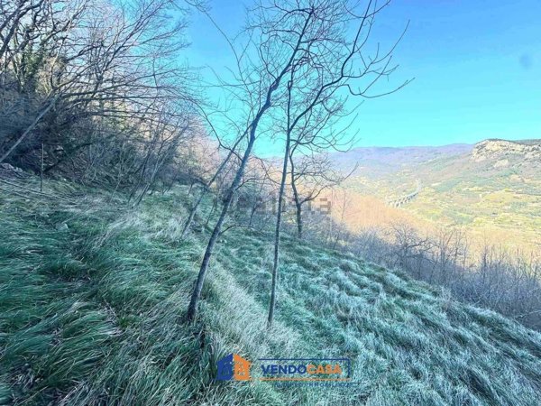 terreno agricolo in vendita a Finale Ligure in zona Gorra