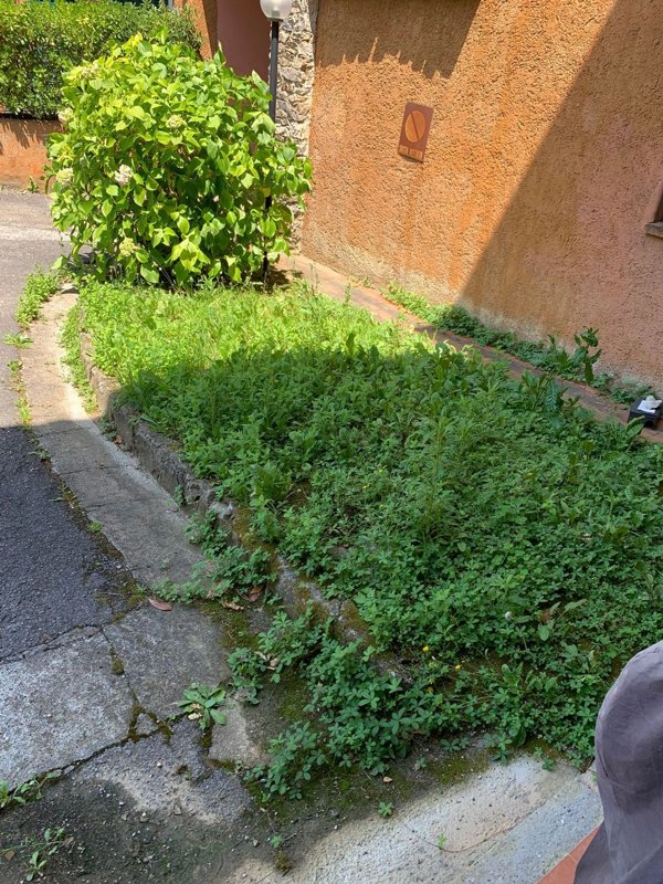 appartamento in vendita a Garlenda