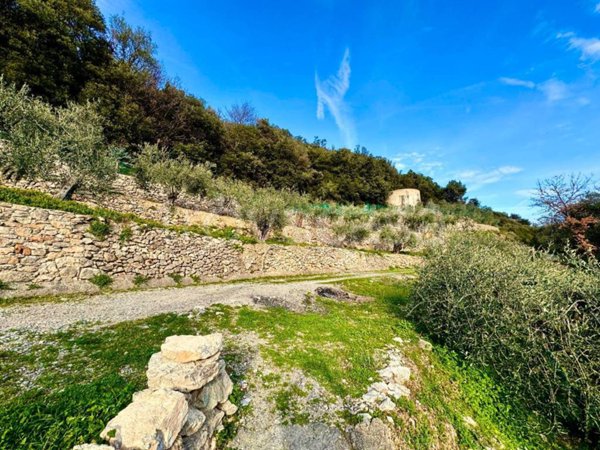 terreno agricolo in vendita a Giustenice
