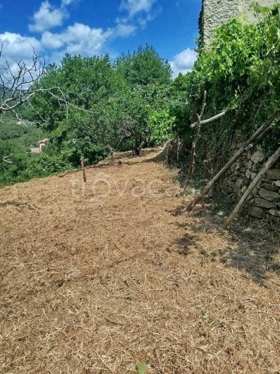 terreno agricolo in vendita a Giustenice