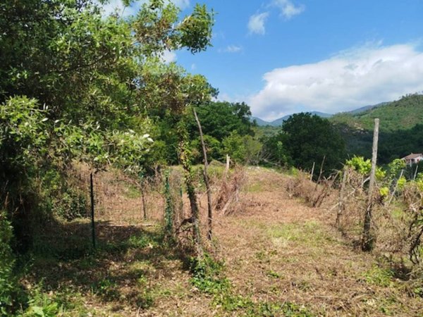 terreno agricolo in vendita a Giustenice in zona San Michele