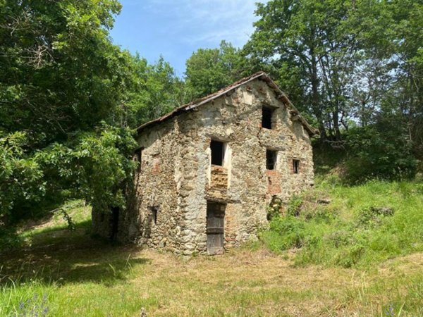 casa indipendente in vendita a Giusvalla