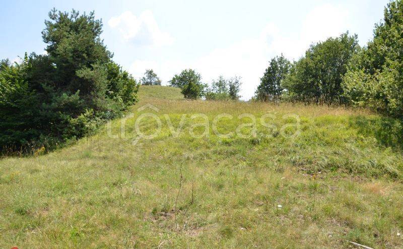 terreno agricolo in vendita a Giusvalla