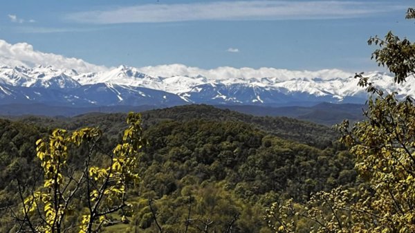 rudere in vendita a Giusvalla