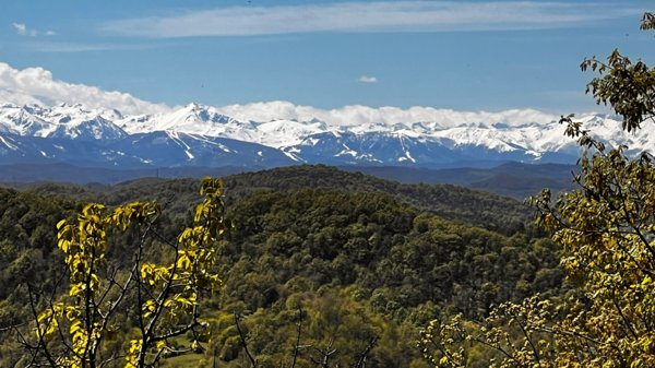 casale in vendita a Giusvalla