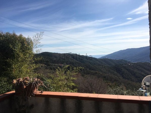 esavano in vendita a Laigueglia