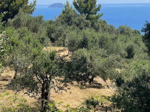 terreno edificabile in vendita a Laigueglia