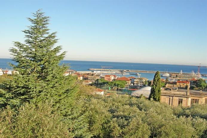 immagine annuncio 0 di 3