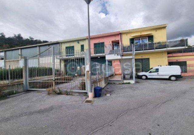 negozio in vendita a Loano