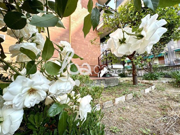 appartamento in vendita a Loano