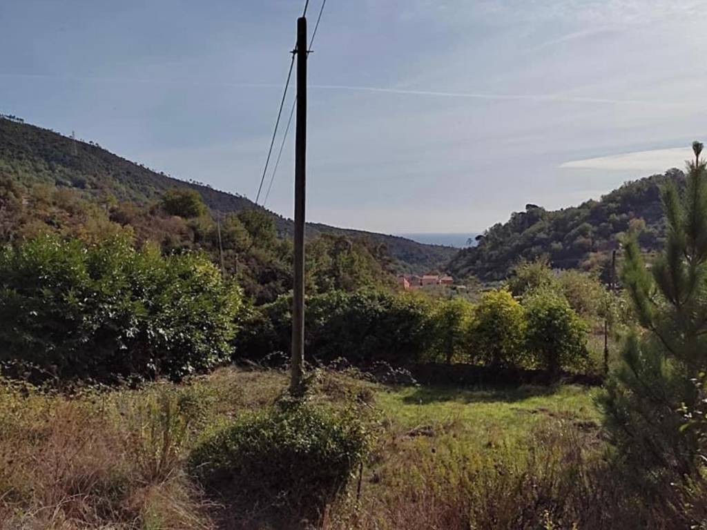terreno agricolo in vendita a Loano in zona Verzi