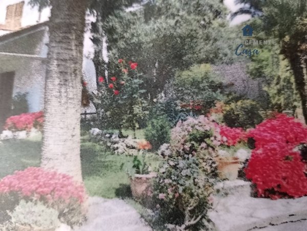 appartamento in vendita a Loano