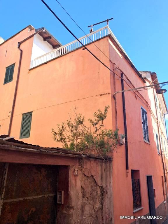 immagine annuncio 0 di 15
