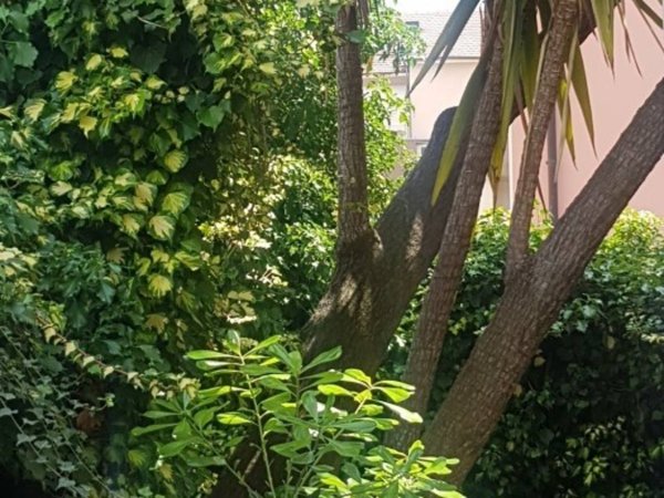 casa indipendente in vendita a Loano