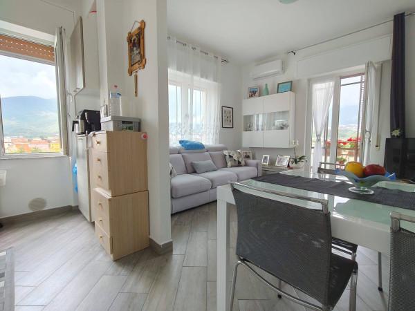 appartamento in vendita a Loano