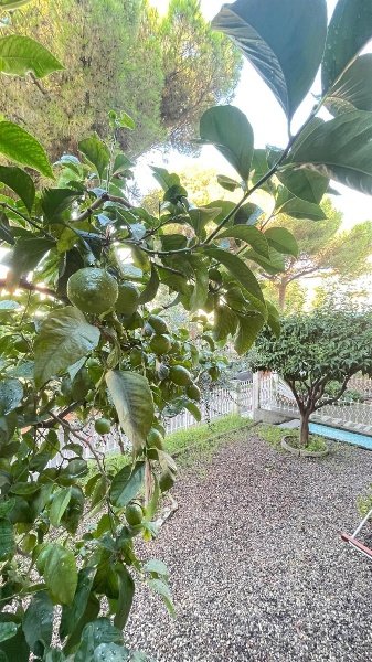 appartamento in vendita a Loano