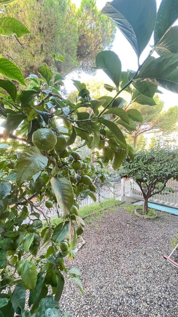appartamento in vendita a Loano