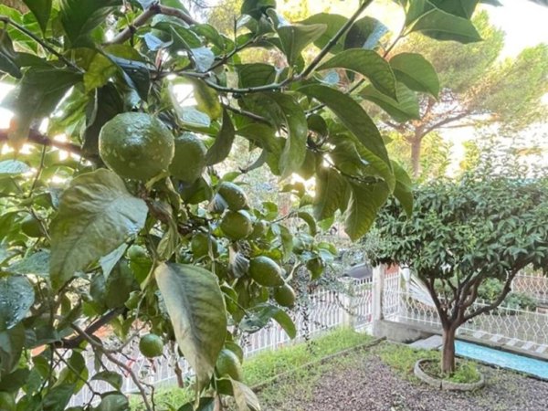 appartamento in vendita a Loano