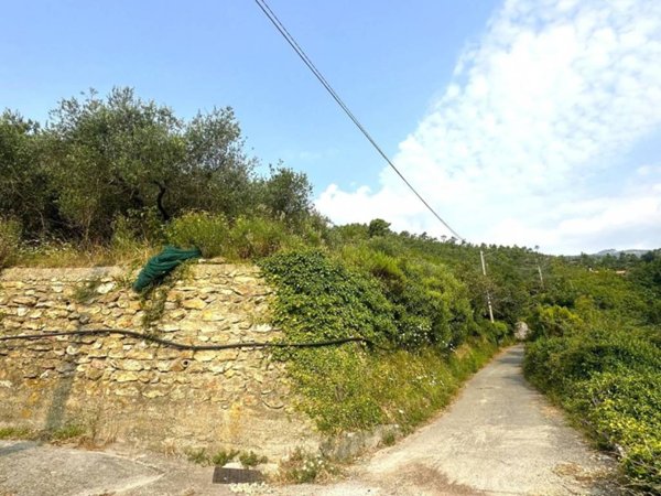 terreno edificabile in vendita a Loano in zona Verzi