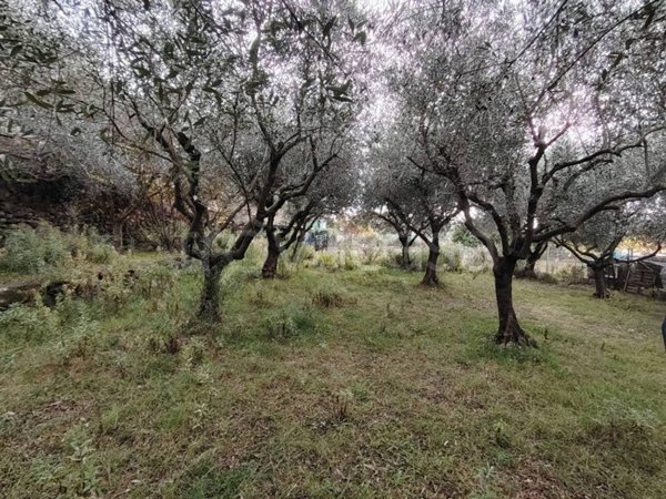 terreno agricolo in vendita a Loano