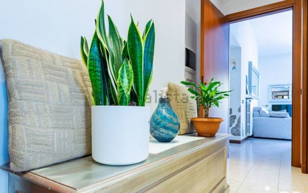 appartamento in vendita a Loano