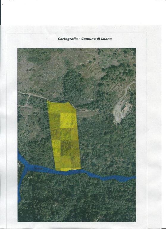 terreno agricolo in vendita a Loano in zona Verzi
