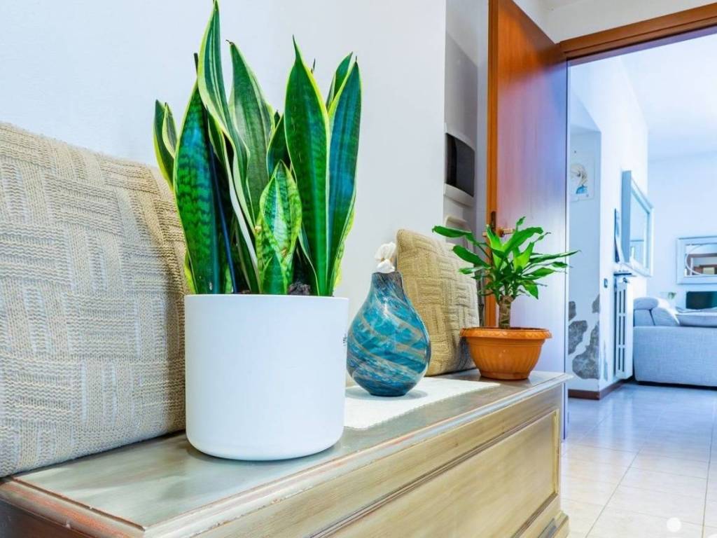 appartamento in vendita a Loano