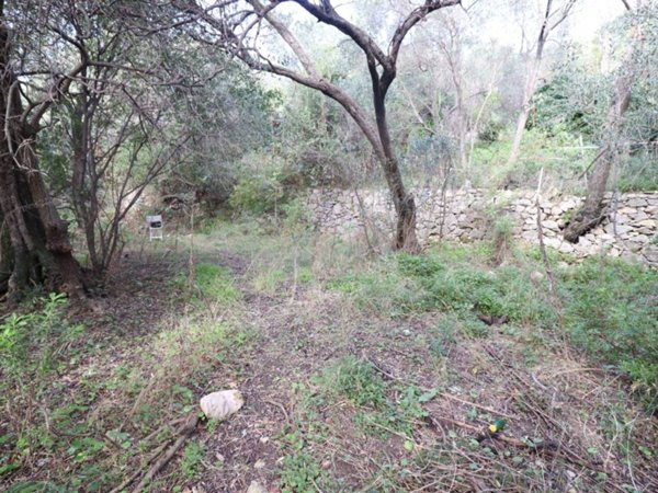 terreno agricolo in vendita a Loano