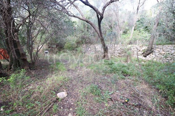 terreno agricolo in vendita a Loano