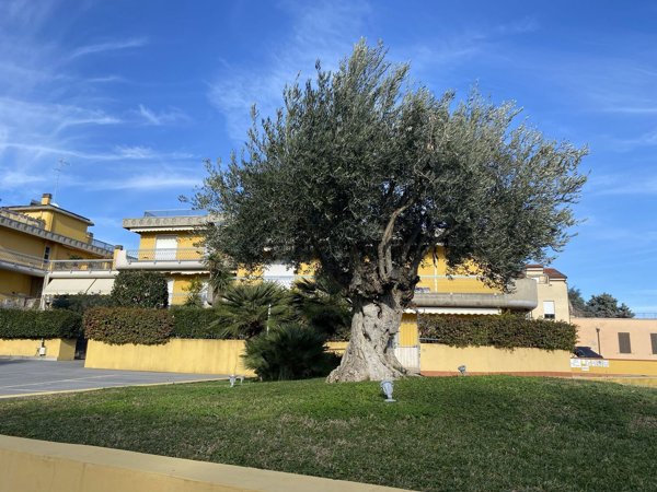 appartamento in vendita a Loano