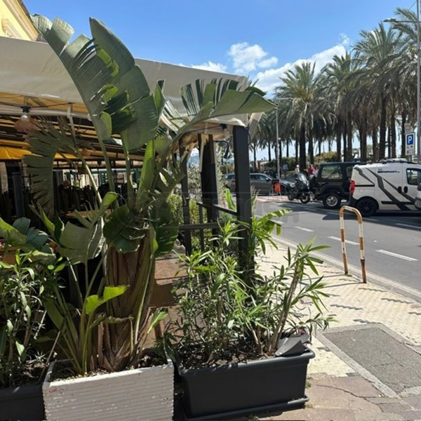 negozio in vendita a Loano