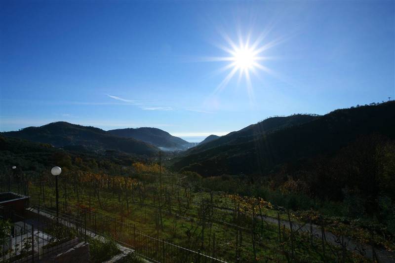 appartamento in vendita a Magliolo