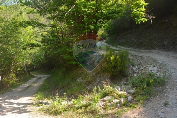 terreno agricolo in vendita a Magliolo