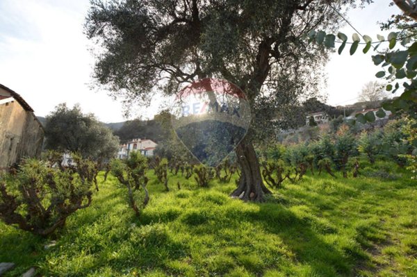 casale in vendita a Magliolo